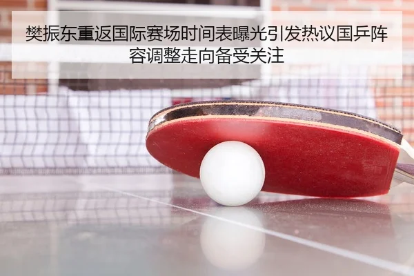 樊振东重返国际赛场时间表曝光引发热议国乒阵容调整走向备受关注