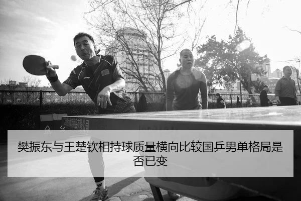 樊振东与王楚钦相持球质量横向比较国乒男单格局是否已变